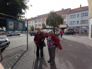 img_20221005_114607.jpg